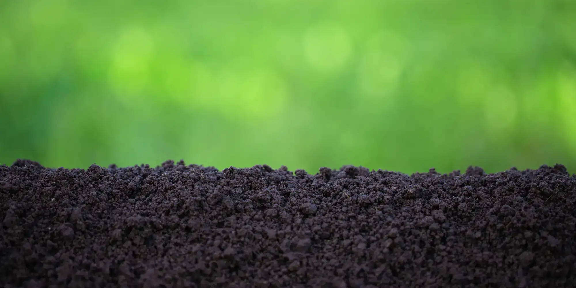 Rich, dark soil in close-up with a blurred green background highlights healthy earth in an outdoor setting.