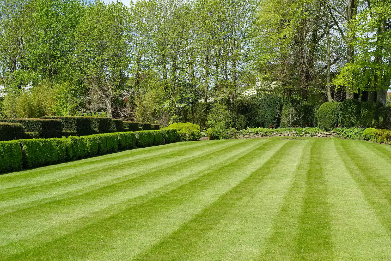 A green lawn with a striped mowing pattern is bordered by neatly trimmed hedges and leafy trees.