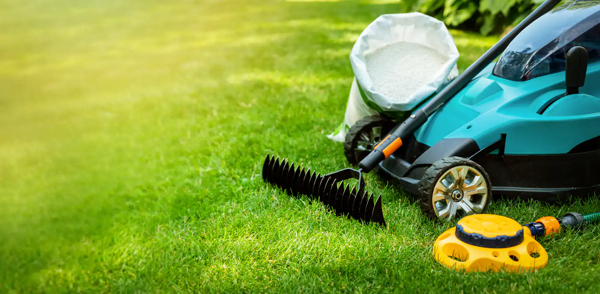 Lawn care tools arranged on green grass, perfect for Lawn Renovation Suffolk County, NY projects.