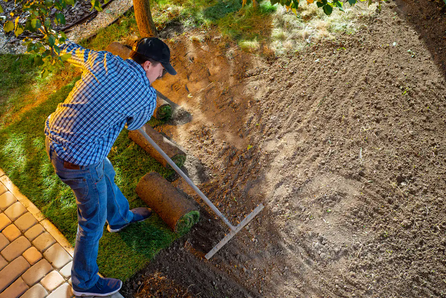 Man in a plaid shirt lays sod and levels soil by a brick pathway and tree in a garden setting.