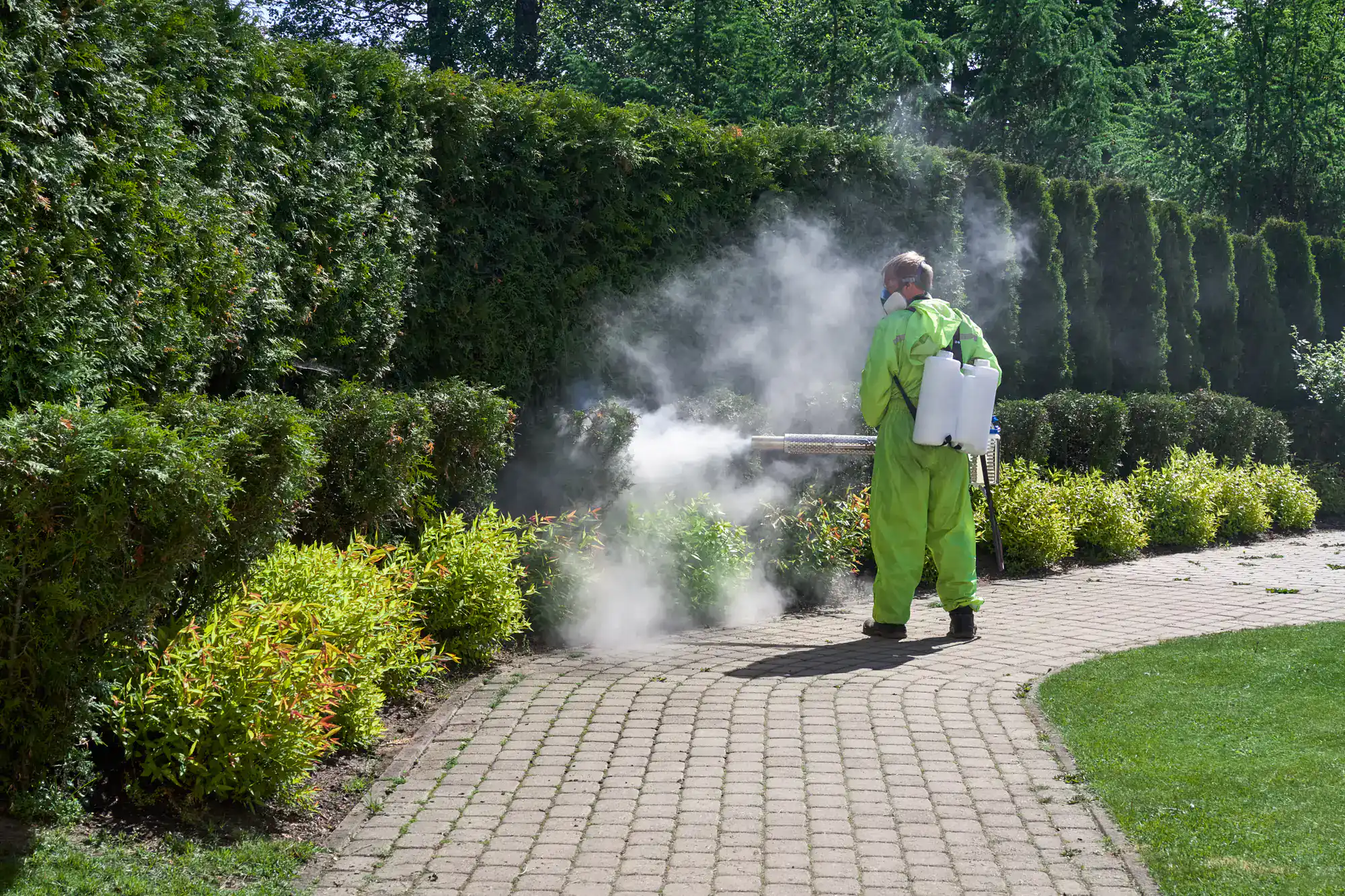 A worker in protective gear sprays shrubs as part of a NY Lawn Renovation Suffolk County garden project.