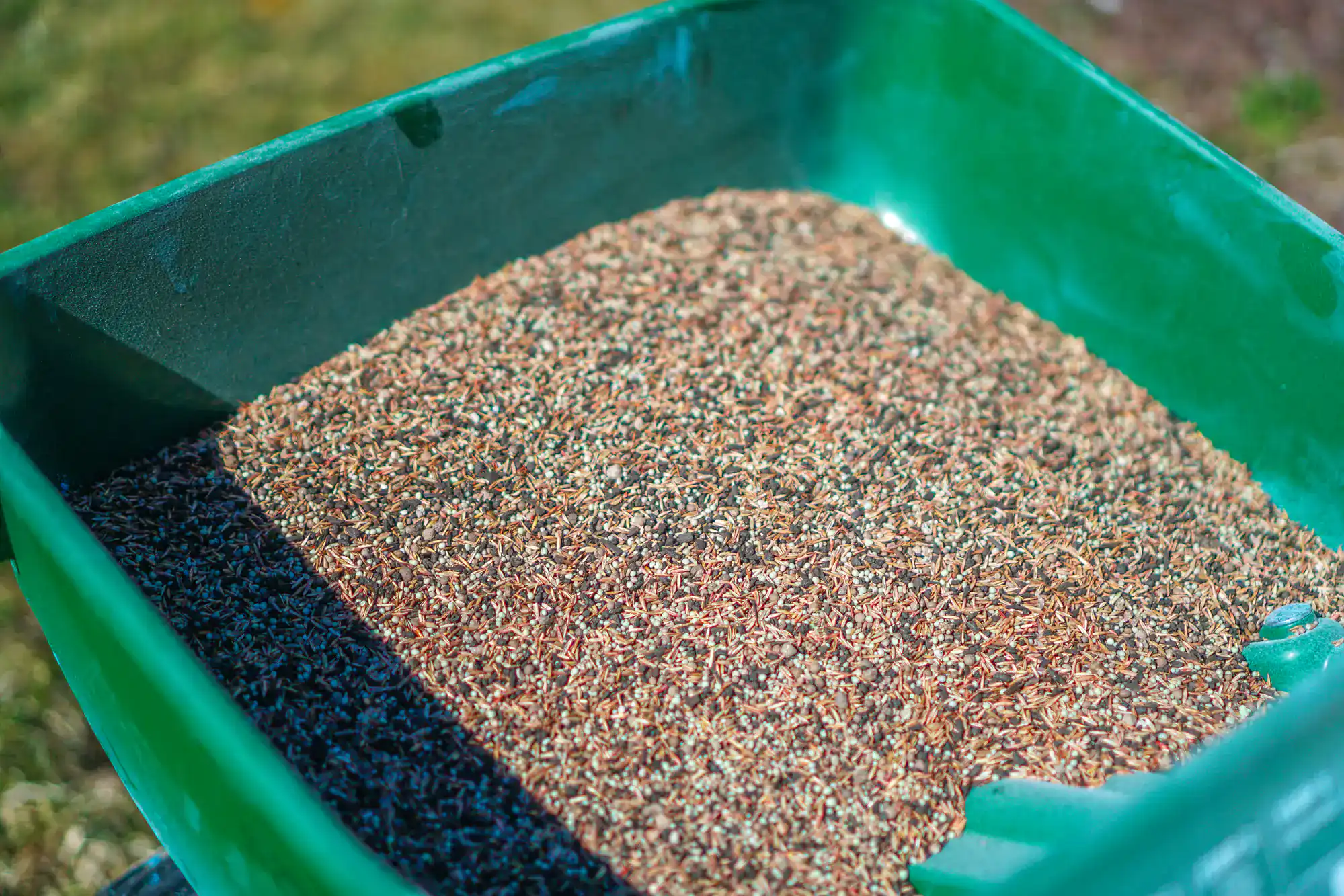 A close-up shows a green container holding brown grass seeds for lawn installation in Suffolk County, NY.