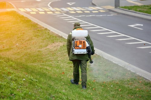 A worker in a green uniform uses a leaf blower on a grassy roadside near a crosswalk and paved road.
