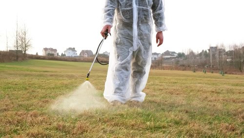A person in a protective suit sprays pesticides on grass in an open field near residential houses.