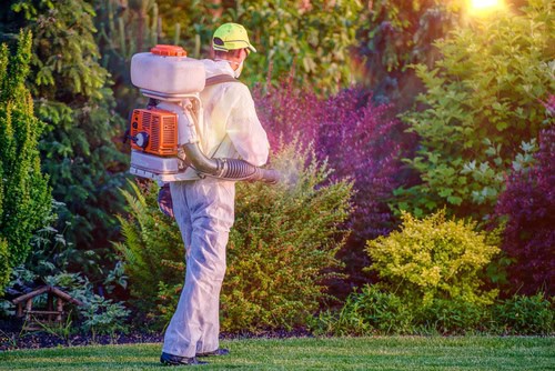 A person in protective gear uses a backpack sprayer to spray garden plants outdoors on a sunny day.